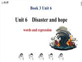 高中外研版英語(yǔ)必修三Unit 6 Disaster and hope - 單詞課件