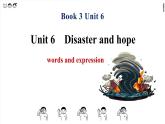 高中外研版英语必修三Unit 6 Disaster and hope - 单词课件