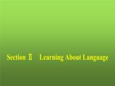 人教版高中英语选择性必修第二册同步训练UNIT1 Section Ⅱ Learning About Language课件