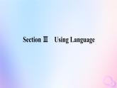 新教材2023版高中英语Unit2BridgingCulturesSectionⅢUsingLanguage课件新人教版选择性必修第二册