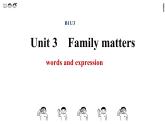 unit3 Family matters 单词课件