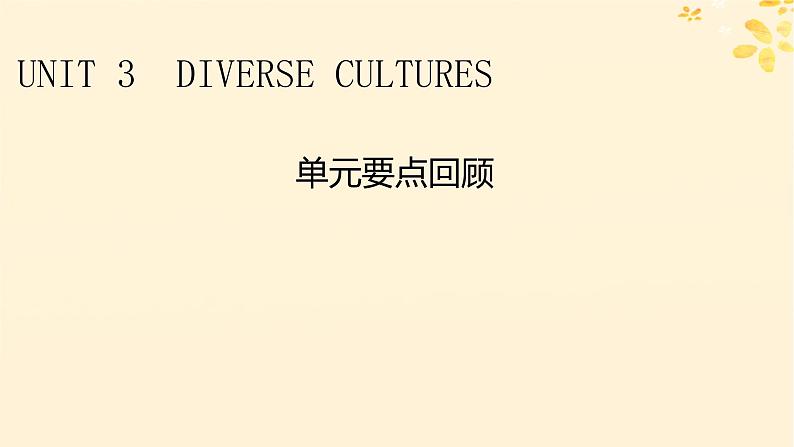 2024春高中英语Unit3 Diverse Cultures 单元要点回顾课件（人教版必修第三册）01