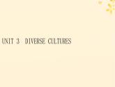 2024春高中英语Unit3 Diverse Cultures 课件（人教版必修第三册）