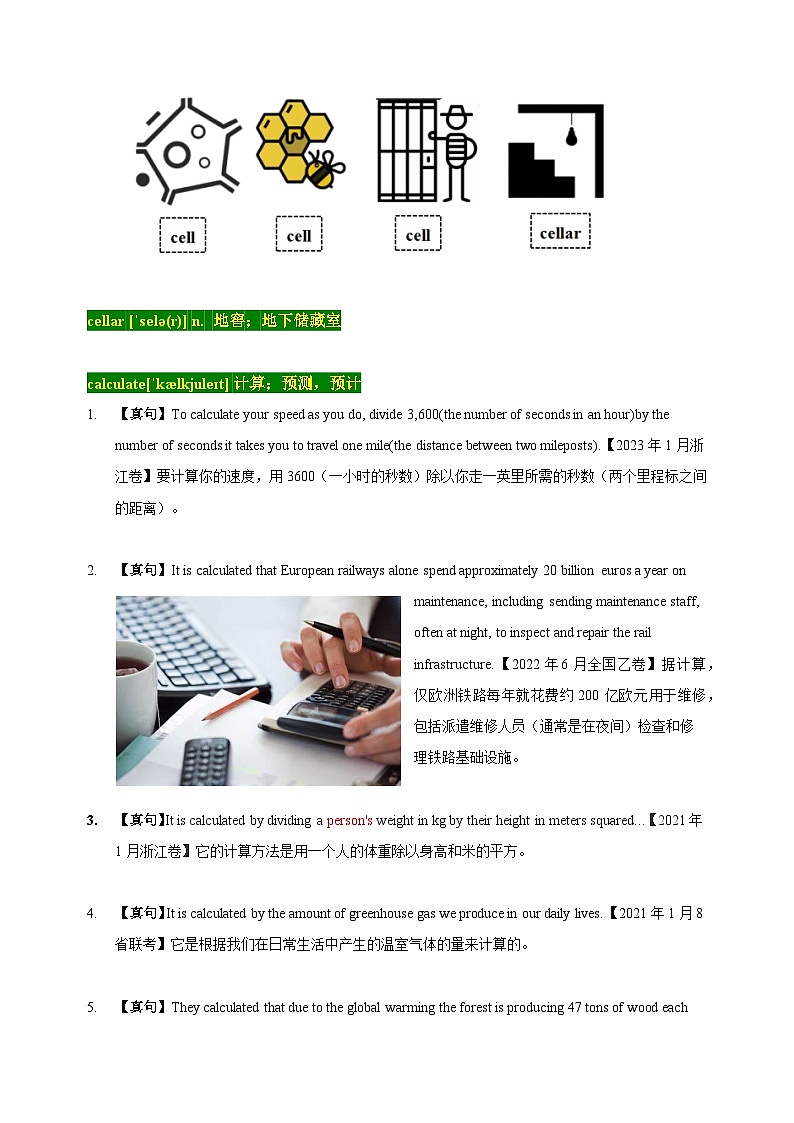 03 高考单词C（解析版）第3页