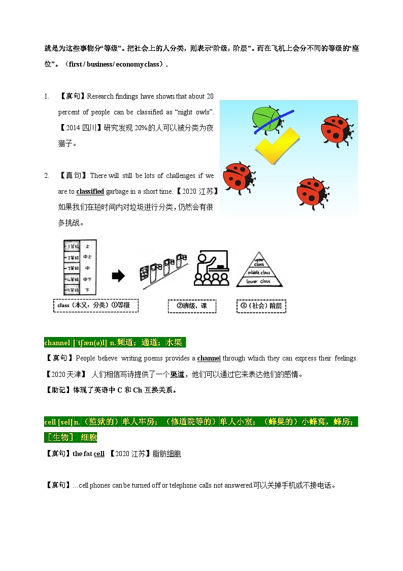 03 高考单词C（原卷版）第2页