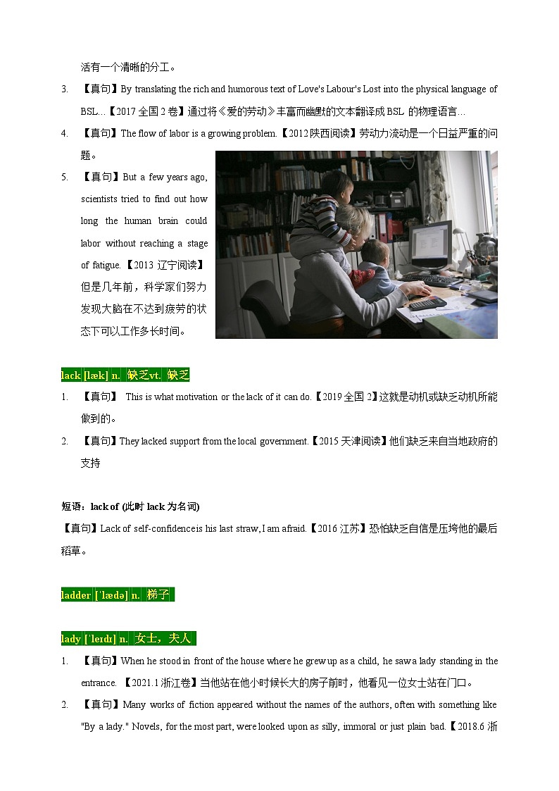 11 高考单词L（解析版）第2页