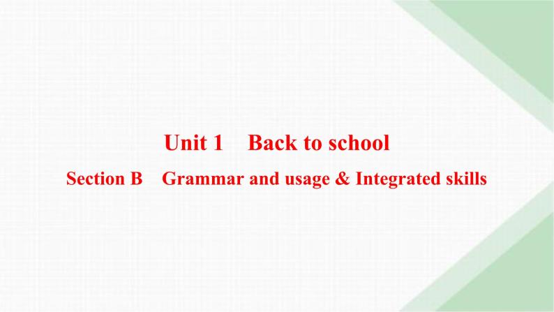 译林版高中英语必修第一册Unit1 Section B Grammar and usage & Integrated skills课件01