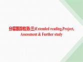 译林版高中英语必修第一册Unit1 分层跟踪检测3 Extended reading,Project, Assessment & Further study课件