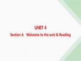 译林版高中英语必修第二册Unit4 Section A Welcome to the Unit& Reading——分层跟踪检测课件