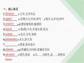 译林版高中英语必修第二册Unit4单元素能巩固提升课件