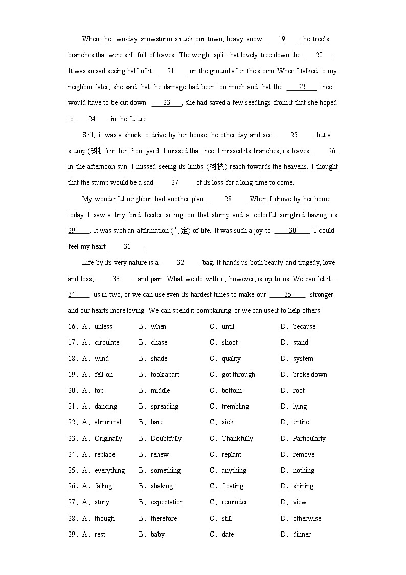 2024届天津市十二区县重点学校高三毕业班联考一模英语试题（含解析）03