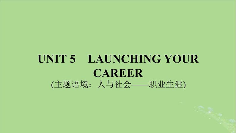 2025版高考英语一轮总复习选择性必修第四册Unit5LaunchingYourCareer课件01