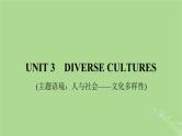 2025版高考英语一轮总复习必修第三册Unit3DiverseCultures课件