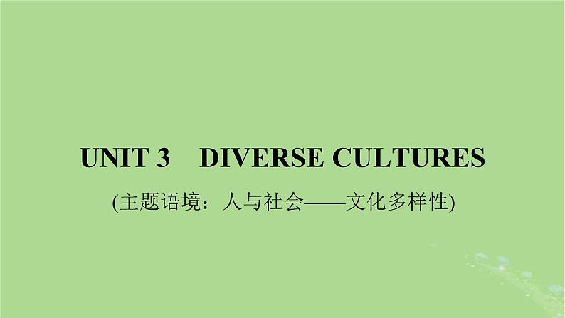 2025版高考英语一轮总复习必修第三册Unit3DiverseCultures课件01