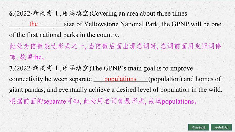 2025届高三一轮复习英语课件第2部分语法专项提升语法专题1名词和冠词（人教版新高考新教材）第6页