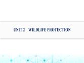 新人教版2025届高考英语一轮复习题型组合练Unit2WildlifeProtection必修第二册课件