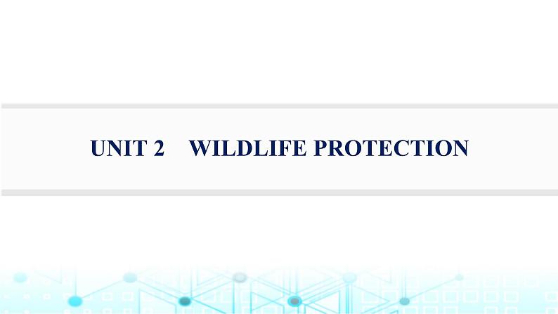 新人教版2025届高考英语一轮复习题型组合练Unit2WildlifeProtection必修第二册课件01