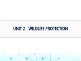新人教版2025届高考英语一轮复习Unit2WildlifeProtection必修第二册课件