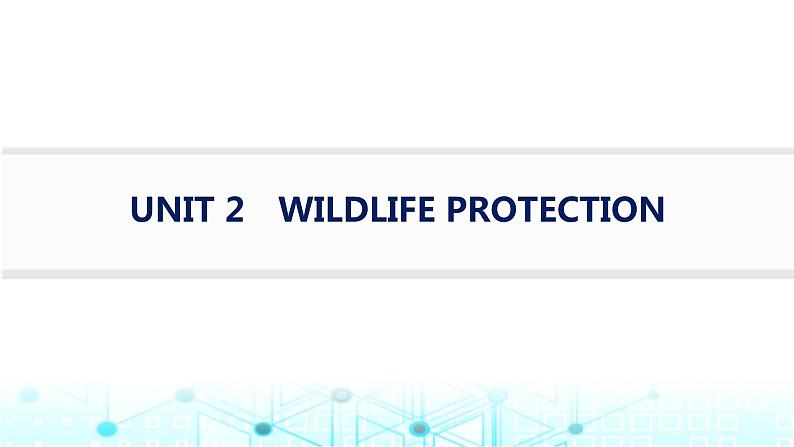 新人教版2025届高考英语一轮复习Unit2WildlifeProtection必修第二册课件01