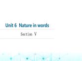 外研版高中英语选择性版必修第三册Unit6 Section Ⅴ课件
