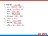24年RJ版.高中英语·【新教材】选修4.U4课件+习题