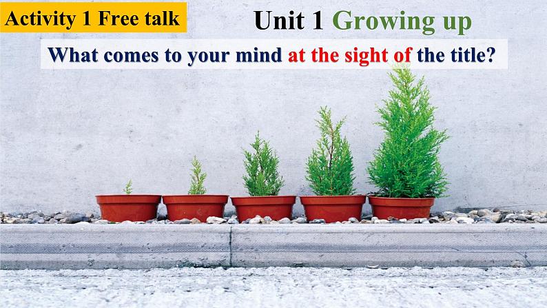 高中英语外研版选修二Unit1Starting out&Understanding ideas课件02