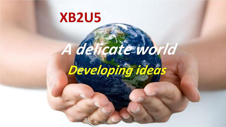高中英语外研版选修二Unit5Developing ideas课件01