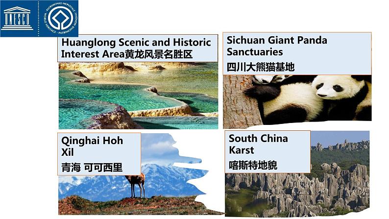 高中英语外研版选修二Unit5Developing ideas课件05