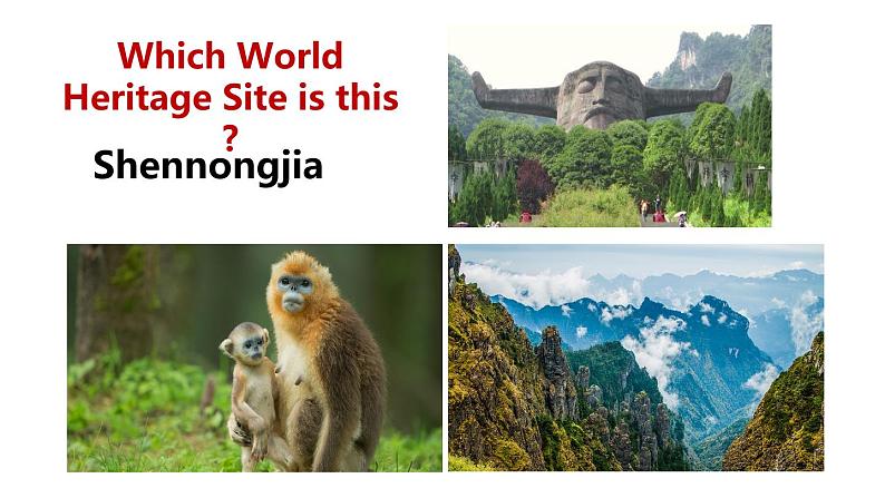 高中英语外研版选修二Unit5Developing ideas课件06