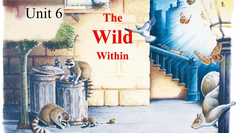 外研版选必2 Unit6 the wild within PPT课件第1页