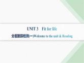 譯林版高中英語(yǔ)選擇性必修第二冊(cè)UNIT3 分層跟蹤檢測(cè)(一) 課件