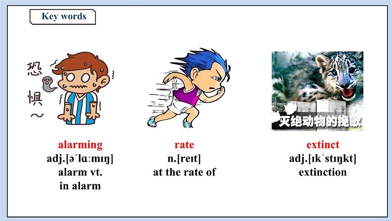 高中英语新人教必修二unit 2 wildlife protection period 1 listening and speaking课件03