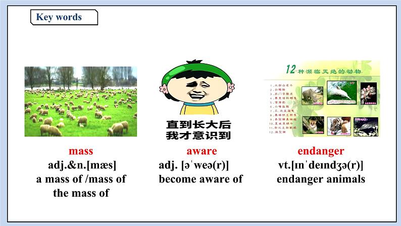 高中英语新人教必修二unit 2 wildlife protection period 1 listening and speaking课件04