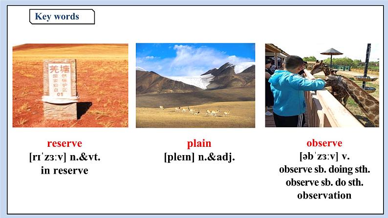 高中英语新人教必修二unit 2 Wildlife Protection Period 2 Reading and Thinking课件02