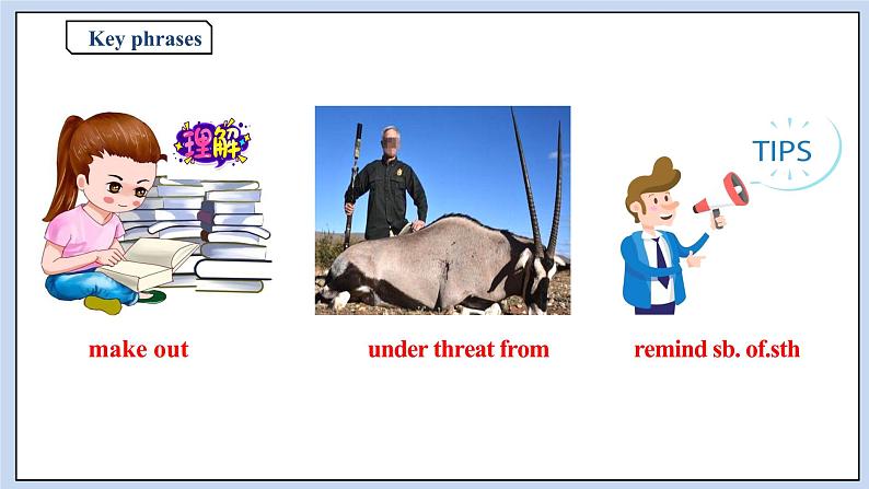 高中英语新人教必修二unit 2 Wildlife Protection Period 2 Reading and Thinking课件07