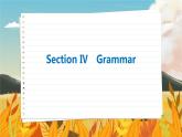 北師大版高中英語必修第三冊 Unit 9    Section Ⅳ　Grammar  PPT課件