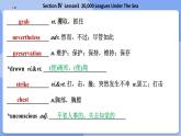 高中BSD英語(yǔ)選擇性必修第三冊(cè) Unit 8 SectionⅣ  Lesson3  20,000 Leagues Under The Sea  PPT課件