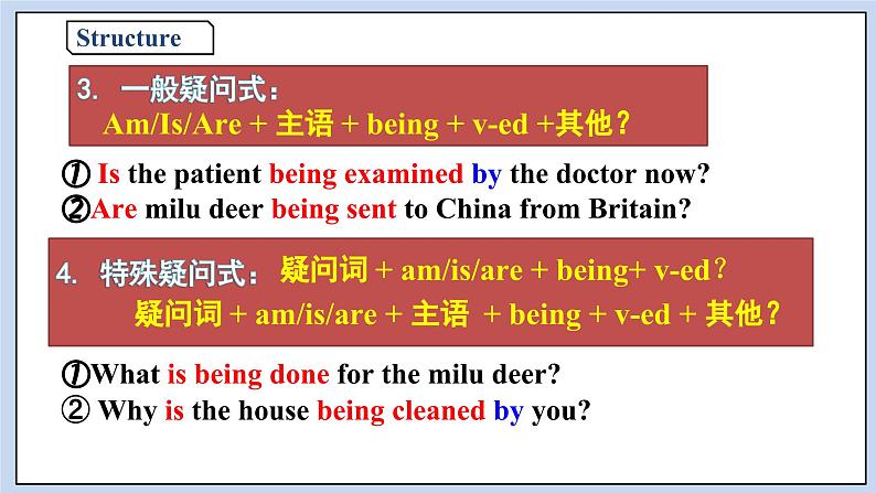 高中英语新人教必修二unit2 Wildlife Protection Period3Discovering Useful Structures课件08