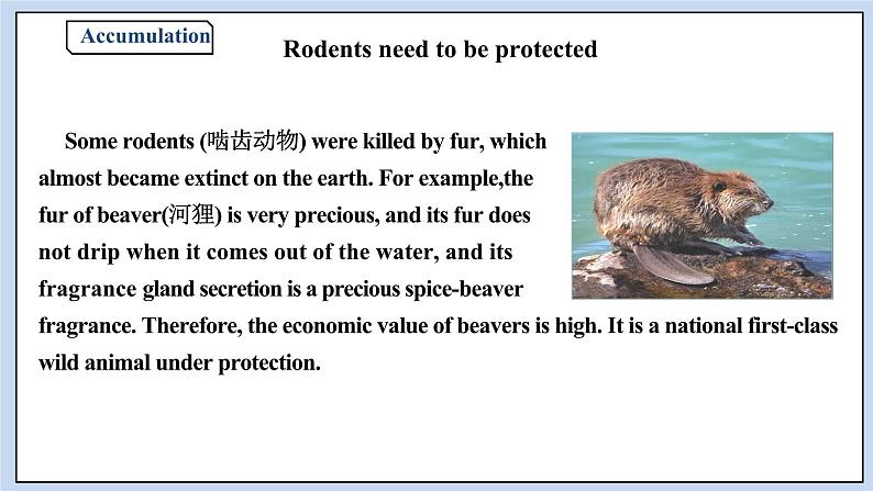 高中英语新人教必修二unit2 wildlife protection period 4 writing课件06