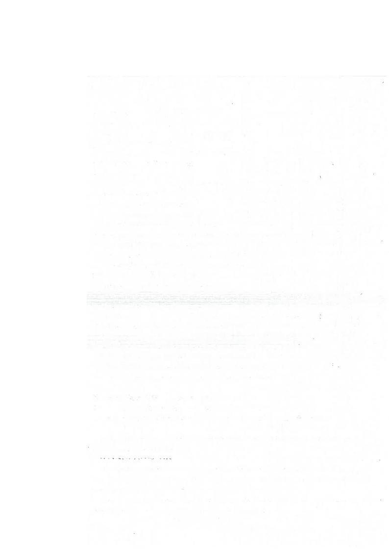 2024郑州外国语高一上学期第一次月考英语试卷及答案02