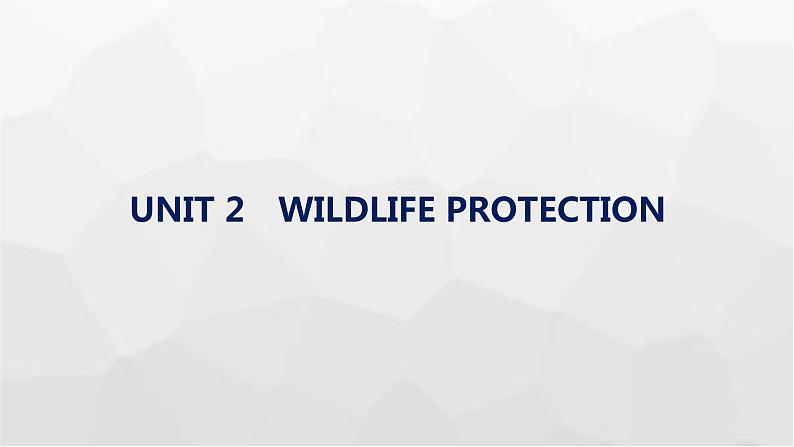 人教版高考英语一轮复习必修第2册UNIT2 WILDLIFE PROTECTION课件01