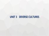人教版高考英语一轮复习必修第3册UNIT3 DIVERSE CULTURES课件