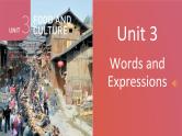 Unit 3 Words and Expressions 重点单词详解课件-2023-2024学年高中英语同步备课堂（人教版2019）（选择性必修第二册）