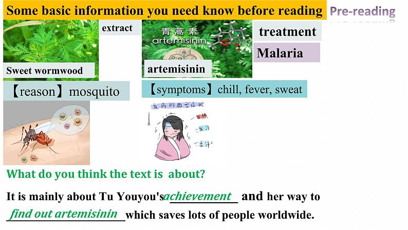 Unit 1 Reading and Thinking 课件-2023-2024学年高中英语同步备课堂（人教版2019）（选择性必修第一册）第3页