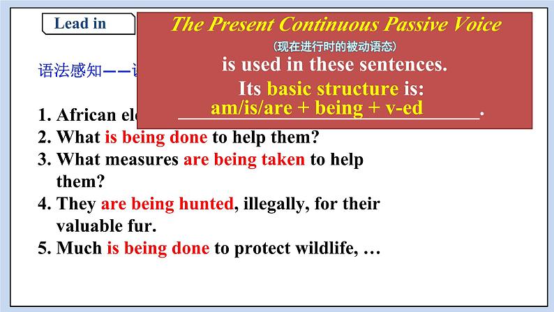 高中英语新人教必修二unit2 Wildlife Protection Period3Discovering Useful Structures课件03