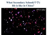 高中英语牛津译林版（2020）必修一Unit1 第五部分 Extended Reading课件及 教案