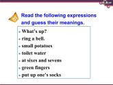外研版（2019）高中英语必修一Unit2 Exploring English Developing ideas 课件