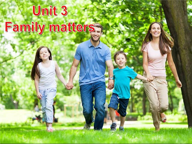 外研版（2019）高中英语必修一Unit3 Family matters Presenting ideas and Reflection 课件02