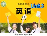 外研版（2019）高中英語必修一Unit3 Family matters Understanding ideas 課件