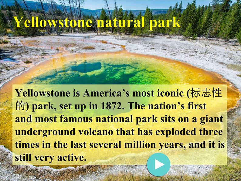 高中英语必修一Unit5 Into the wild Developing ideas 课件05